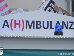 Umzug in Könen 2024